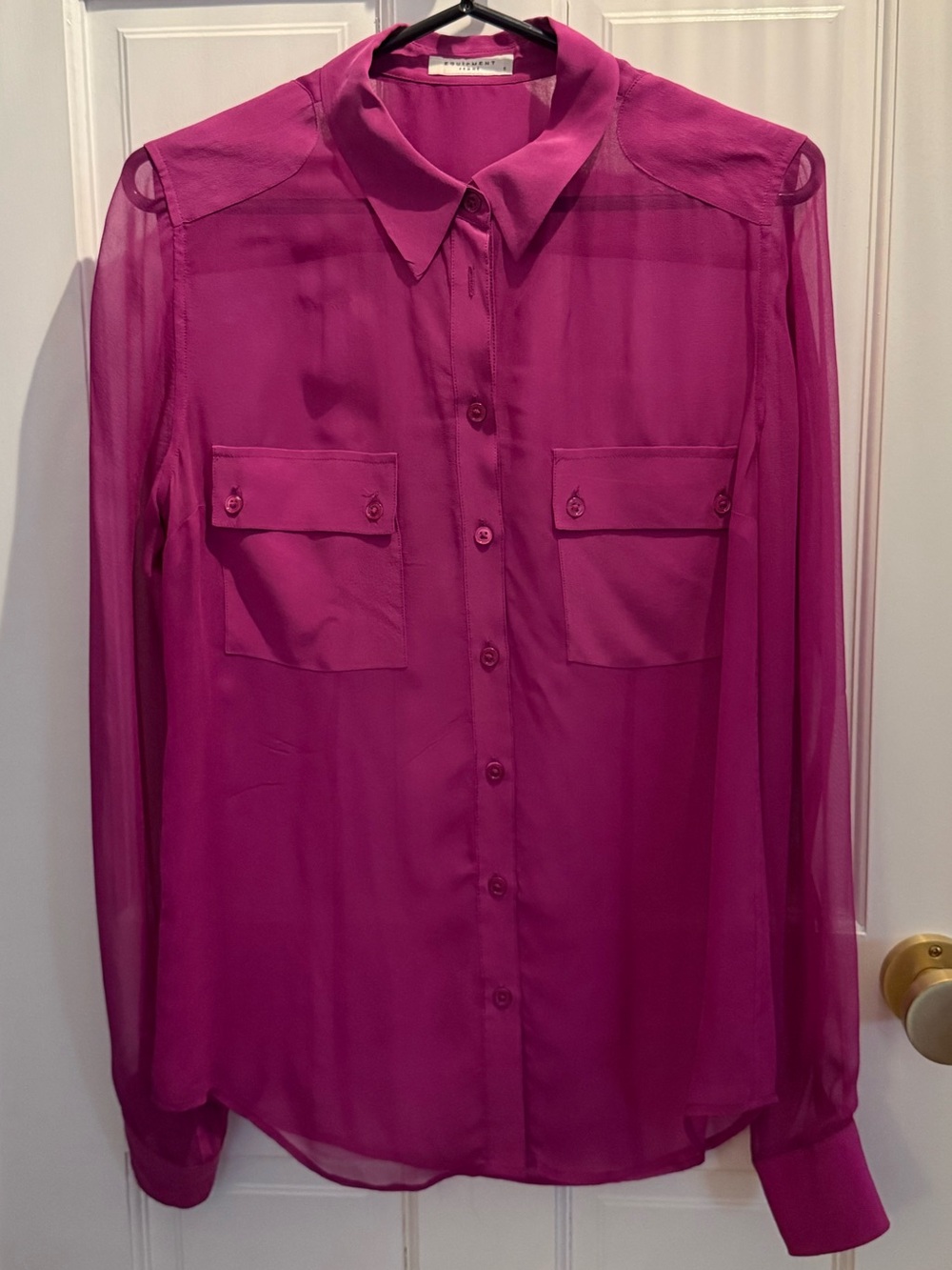 Equipment Sheer Button-Up Blouse